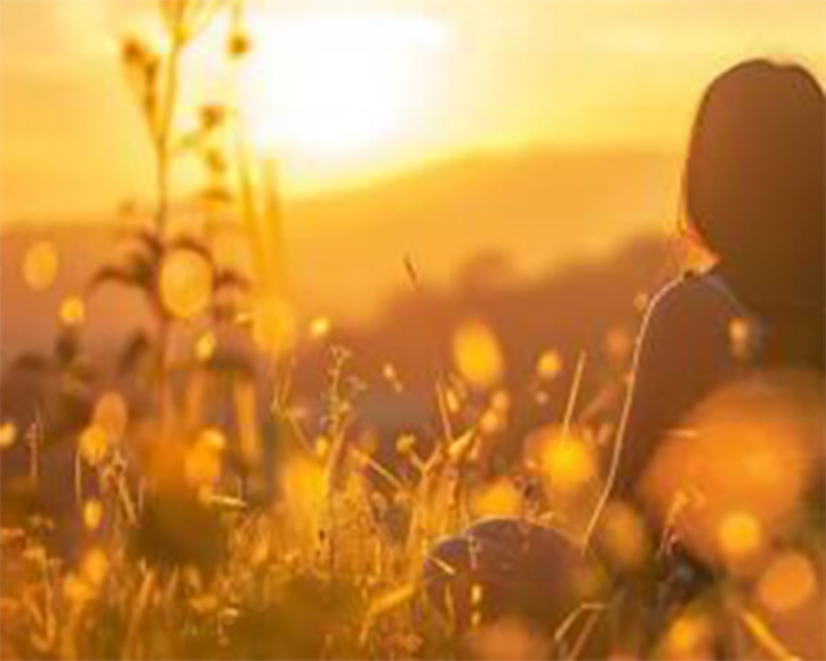 SplendidLight Story Focus